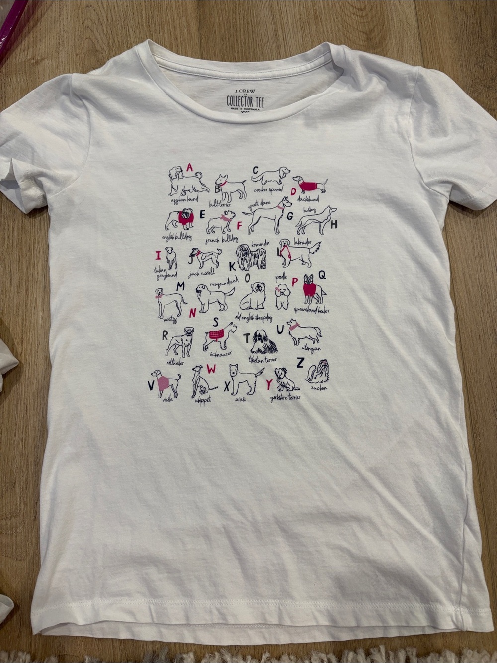 J. Crew White Short Sleeve Alphabet Dog Graphic Tee
